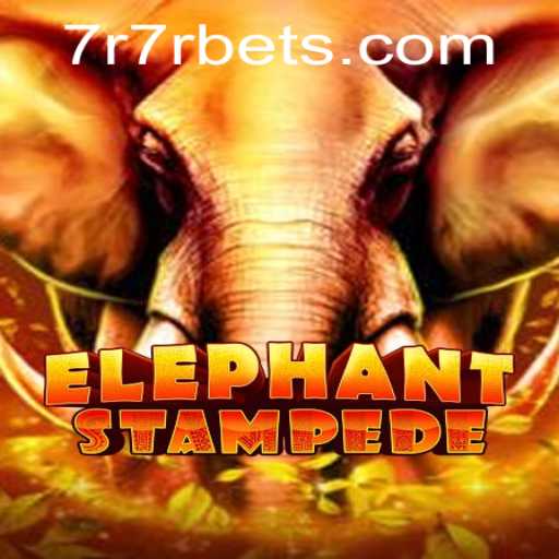 ElephantStampede: Navigating the Exciting World of 7R7R